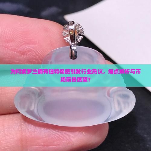 为何紫罗兰拥有独特棉感引发行业热议，痛点解析与市场前景展望？