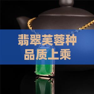 翡翠芙蓉种品质上乘