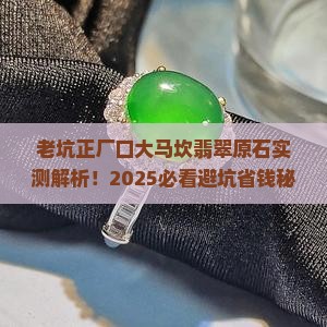 老坑正厂口大马坎翡翠原石