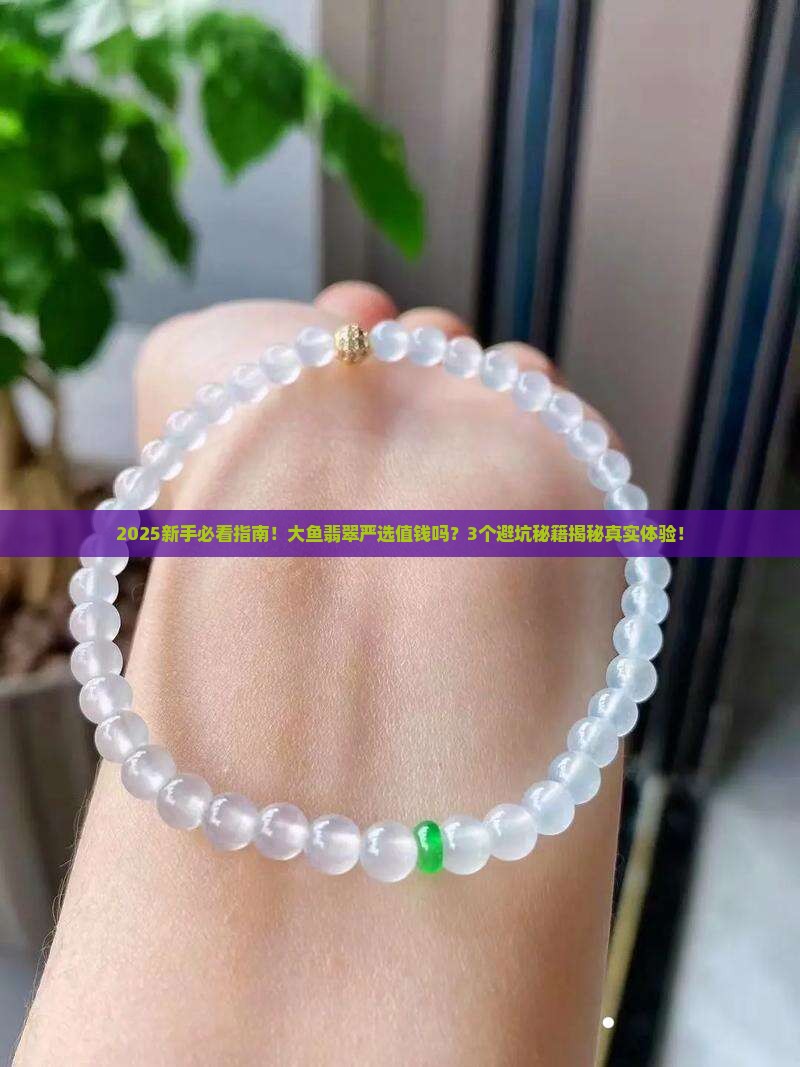大鱼翡翠严选怎么样啊值钱吗