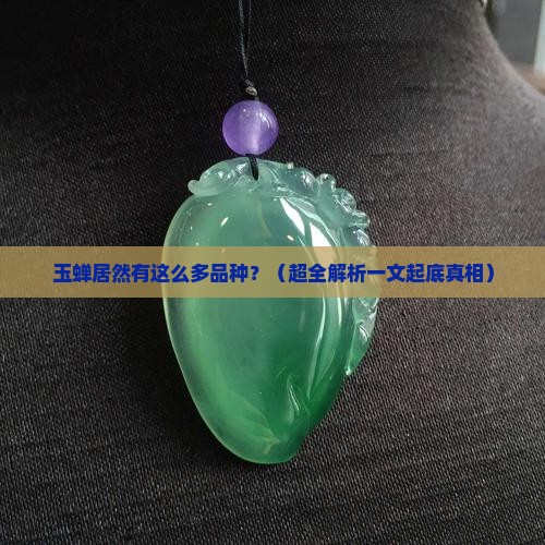 玉蝉有多少品种