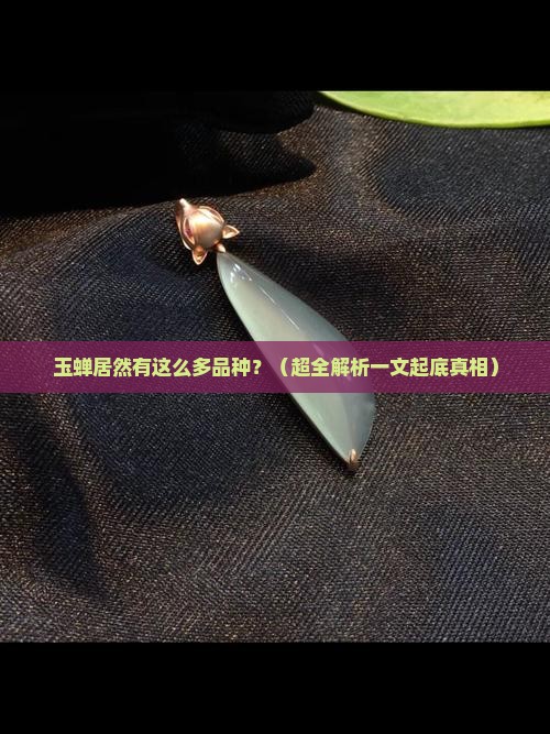 玉蝉有多少品种