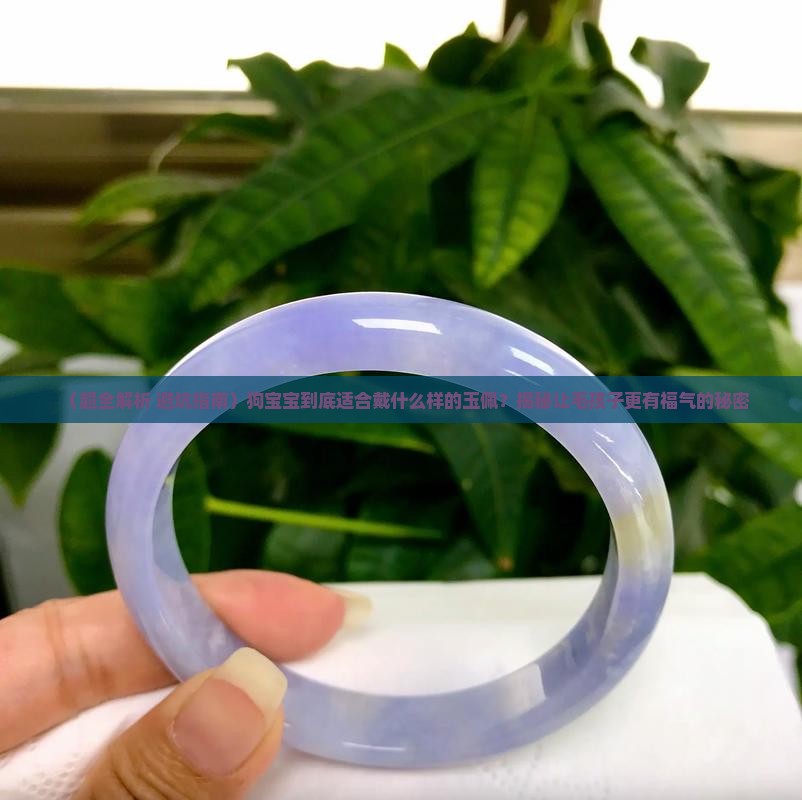 狗宝宝适合戴什么样的玉佩
