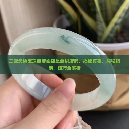 三亚天禧玉珠宝专卖店是免税店吗