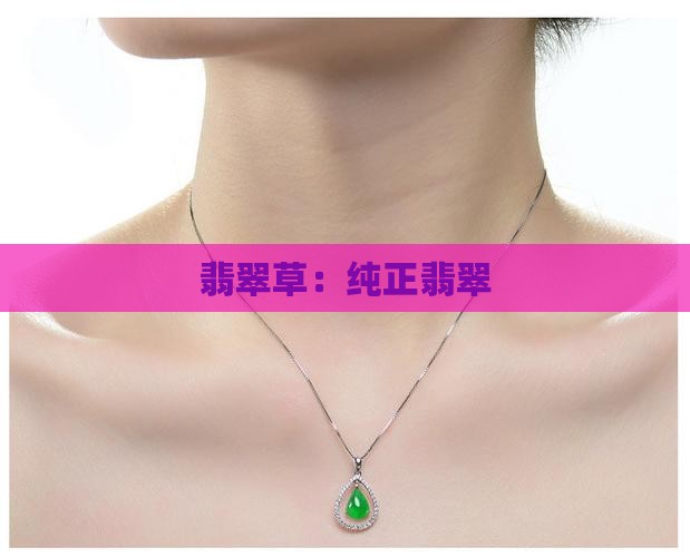 纯正翡翠草