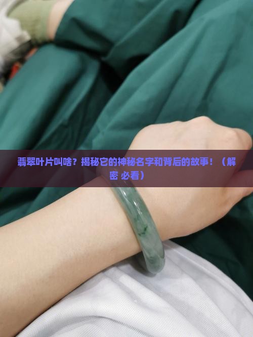 翡翠叶片叫什么