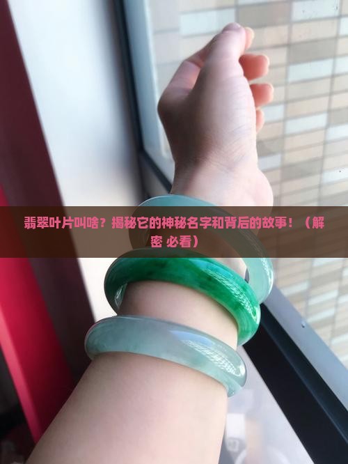 翡翠叶片叫什么