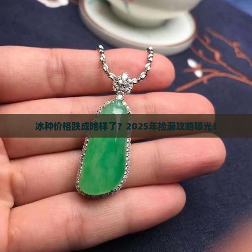 冰种价格回落
