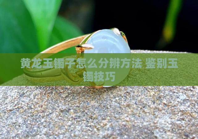 黄龙玉镯子怎么分辨