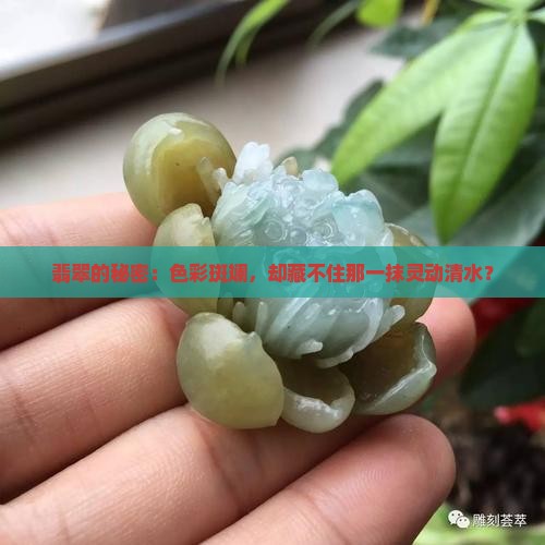 翡翠的秘密：色彩斑斓，却藏不住那一抹灵动清水？