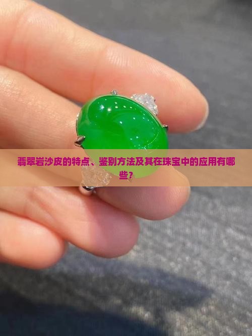 翡翠岩沙皮的特点、鉴别方法及其在珠宝中的应用有哪些？