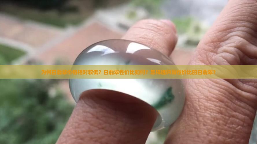 为何白翡翠价格相对较低？白翡翠性价比如何？怎样选购高性价比的白翡翠？