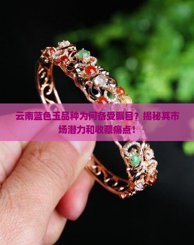 云南蓝色玉品种为何备受瞩目？揭秘其市场潜力和收藏痛点！