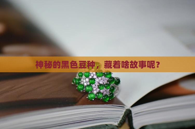 神秘的黑色豆种，藏着啥故事呢？