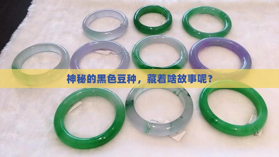 神秘的黑色豆种，藏着啥故事呢？