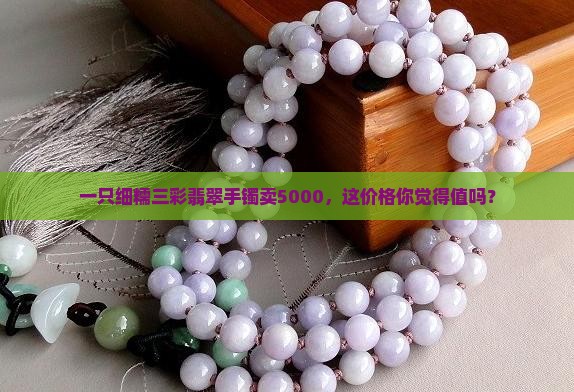 一只细糯三彩翡翠手镯卖5000，这价格你觉得值吗？