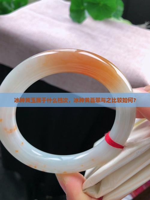 冰种黄玉属于什么档次，冰种黄翡翠与之比较如何？