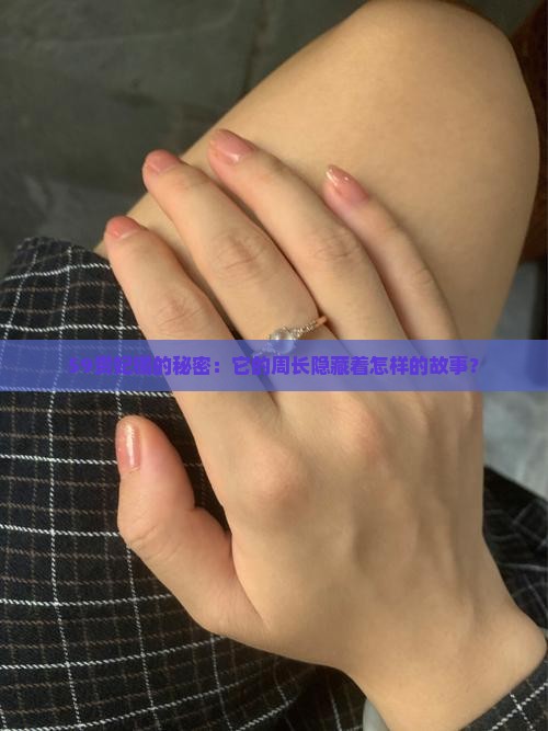 59贵妃镯的秘密：它的周长隐藏着怎样的故事？