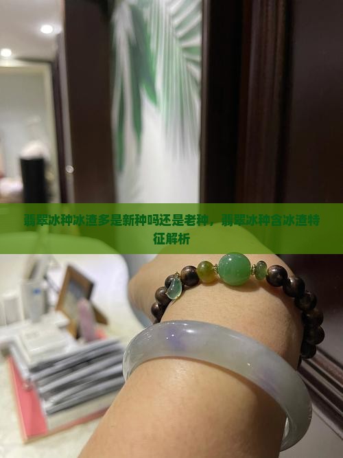 翡翠冰种冰渣多是新种吗还是老种，翡翠冰种含冰渣特征解析