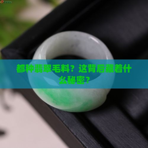 都种翡翠毛料？这背后藏着什么秘密？