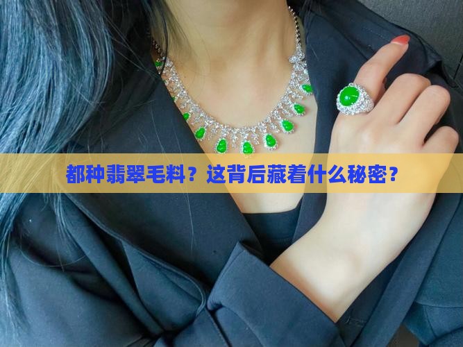 都种翡翠毛料？这背后藏着什么秘密？