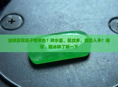 油绿翡翠底子带黄色？种水差、裂纹多，能否入手？绿翠、糯冰种了解一下