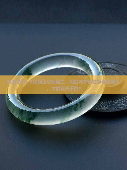 花友急问：5朵绿玉水仙建兰，阳台养护要注意哪些要点，才能花开不败？