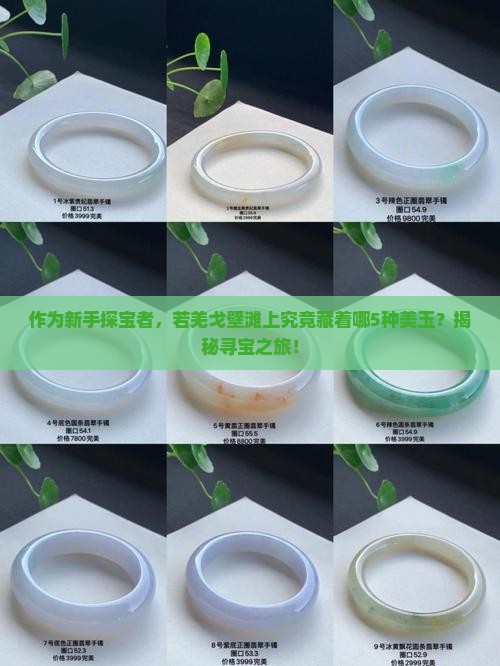 作为新手探宝者，若羌戈壁滩上究竟藏着哪5种美玉？揭秘寻宝之旅！