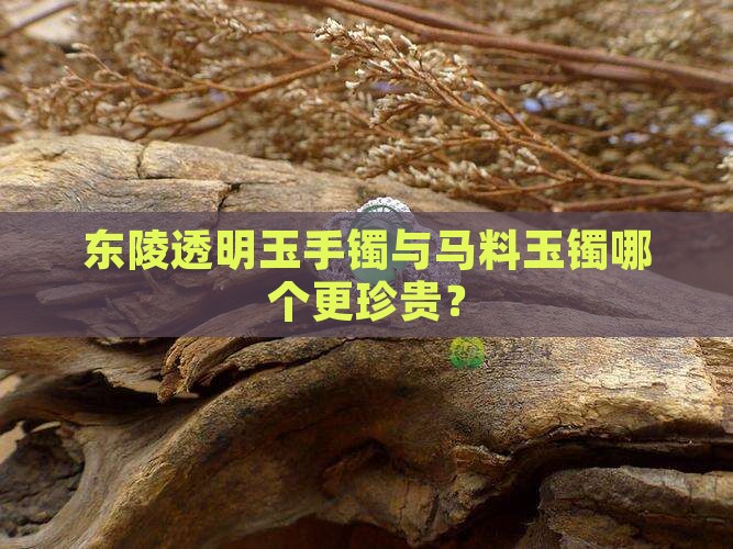 东陵透明玉手镯与马料玉镯哪个更珍贵？