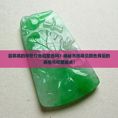 翡翠真的存在红色和紫色吗？揭秘市场稀见颜色背后的真相与收藏痛点！