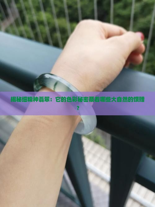 揭秘细糯种翡翠：它的色彩秘密藏着哪些大自然的馈赠？