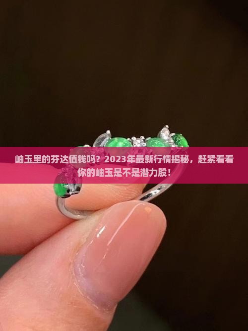 岫玉里的芬达值钱吗？2023年最新行情揭秘，赶紧看看你的岫玉是不是潜力股！