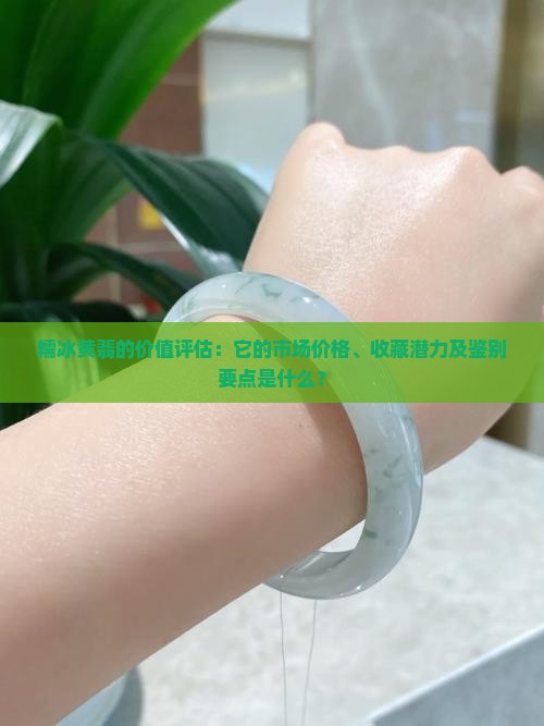 糯冰黄翡的价值评估：它的市场价格、收藏潜力及鉴别要点是什么？