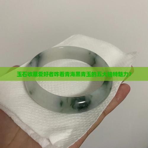 玉石收藏爱好者咋看青海黑青玉的五大独特魅力？
