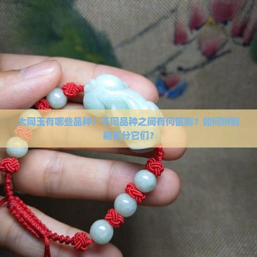 大同玉有哪些品种？不同品种之间有何区别？如何辨别和区分它们？