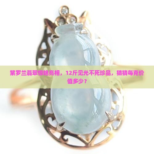 紫罗兰翡翠惊艳亮相，12斤见光不死珍品，猜猜每克价值多少？