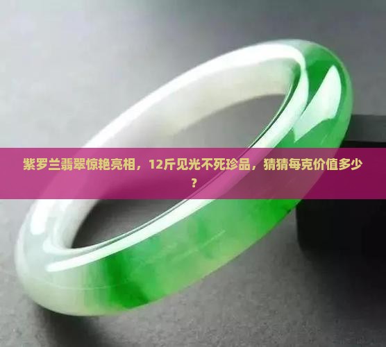 紫罗兰翡翠惊艳亮相，12斤见光不死珍品，猜猜每克价值多少？