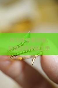 作为珠宝爱好者，好奇翡翠手镯上手后纹理如何展现独特美感？3大特点让你爱上它的细腻流转！