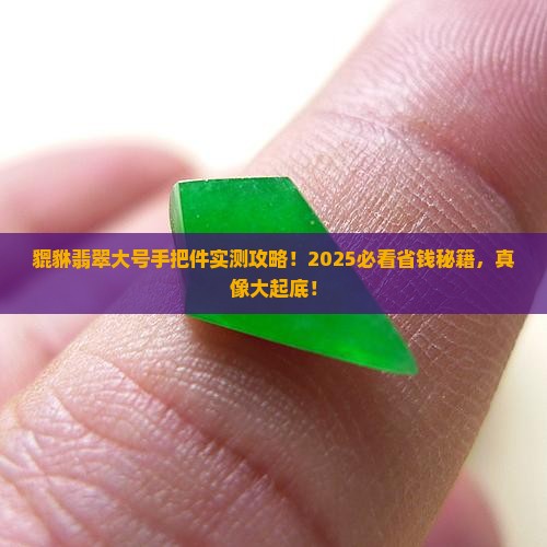 貔貅翡翠大号手把件