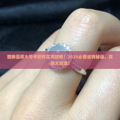 貔貅翡翠大号手把件
