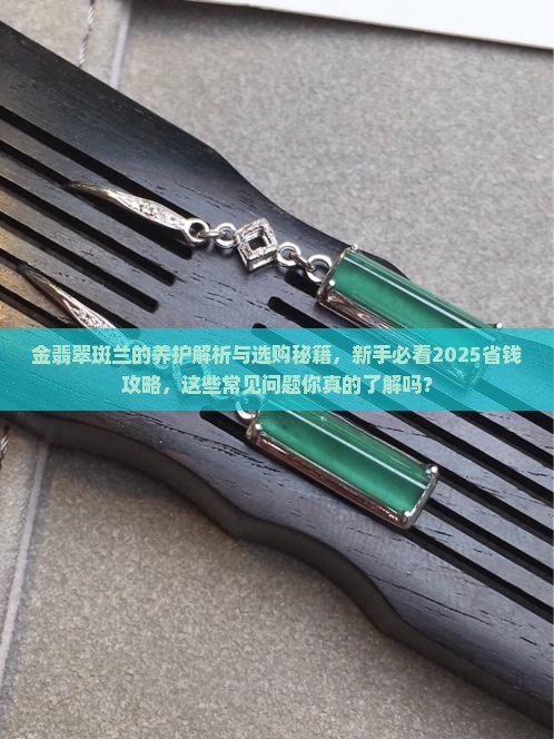 金翡翠斑兰
