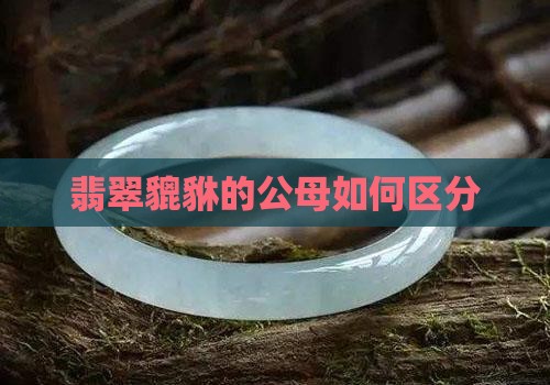 翡翠貔貅怎么看公母