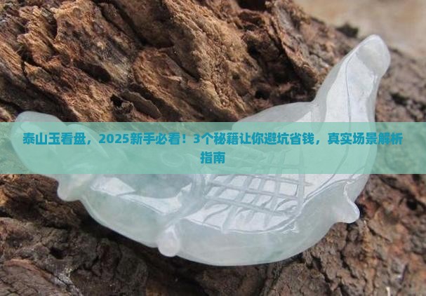 泰山玉看盘