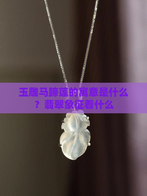 玉雕马蹄莲寓意什么