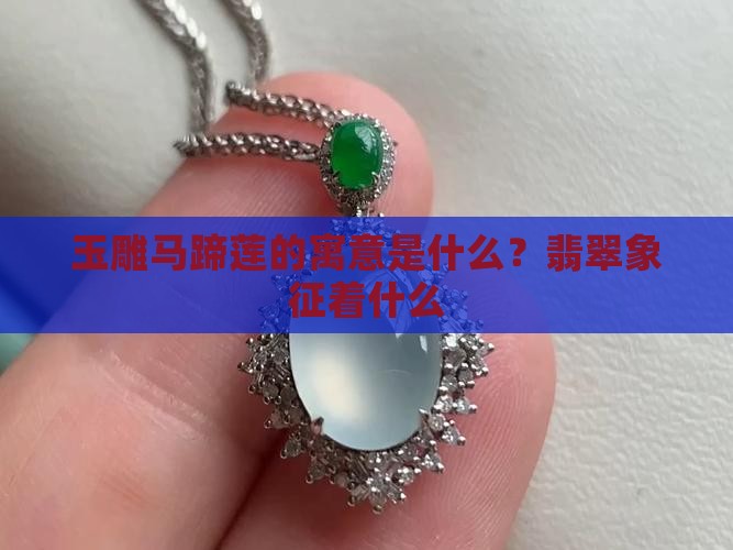 玉雕马蹄莲寓意什么