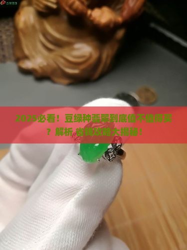 豆绿种翡翠值得买吗