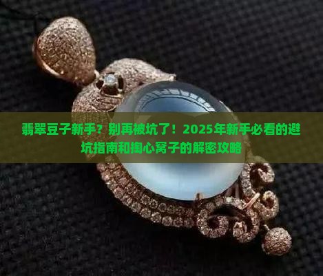 翡翠豆子新手