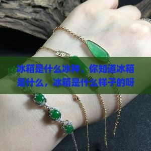 冰箱是什么冰种