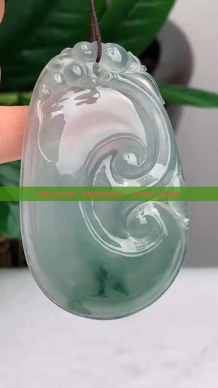 冰箱是什么冰种