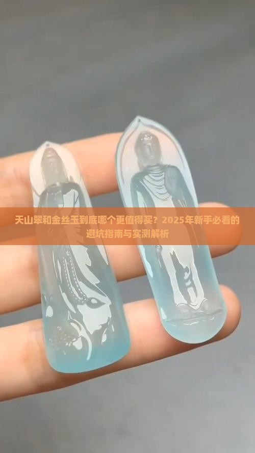 天山翠和金丝玉哪种好